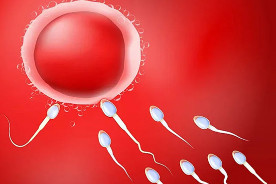 代生宝宝发烧头痛怎么办？如何有效缓解代生宝宝发烧头痛的症状？